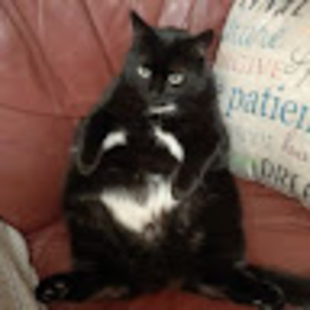 Meet your Posher, Tia